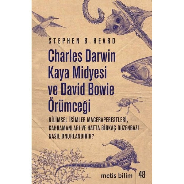Charles Darwin Kaya Midyesi ve David Bowie Örümceği | Metis Yayınları
