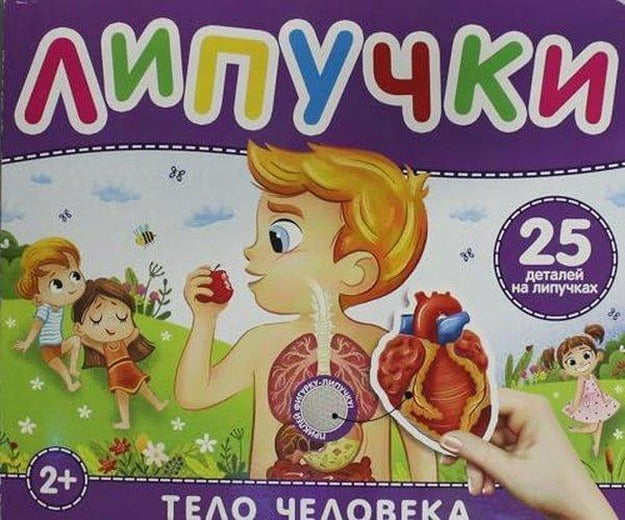 Тело человека Книга с липучками | Rosmen (İnce Kapak)