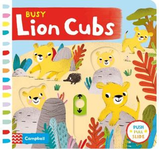 Busy Lion Cubs
