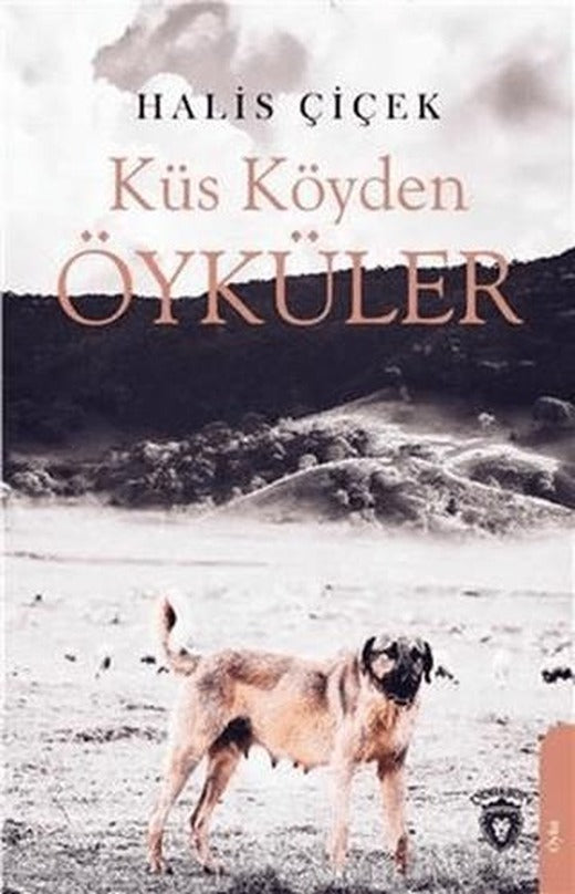 Küs Köyden Öyküler