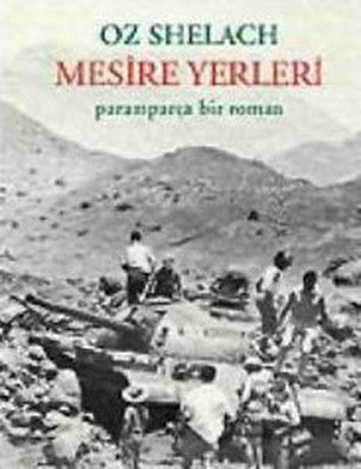 Mesire Yerleri - Paramparça Bir Roman | Metis Yayınları