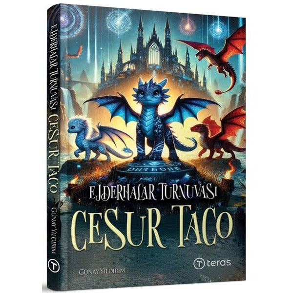 Ejderhalar Turnuvası: Cesur Taco | Teras Kitap (İnce Kapak)