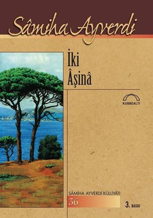 İki Aşina | Kubbetli Neşriyatı