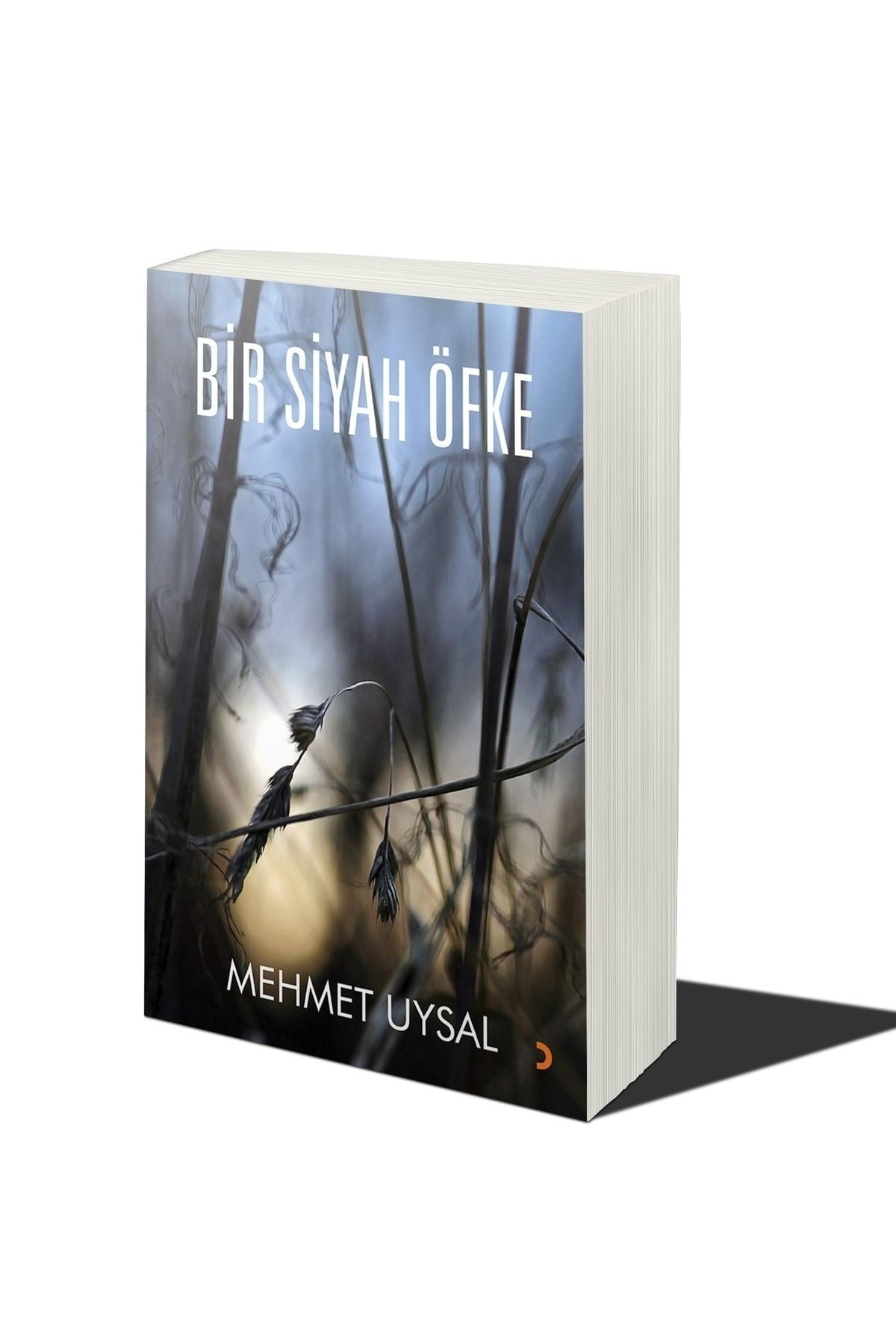 Bir Siyah Öfke