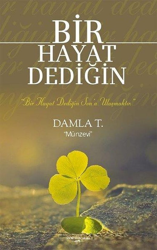 Bir Hayat Dediğin | Sokak Kitapları Yayınları (İnce Kapak)