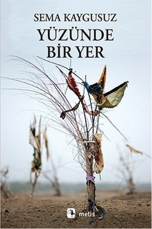 Yüzünde Bir Yer | Metis Yayınları