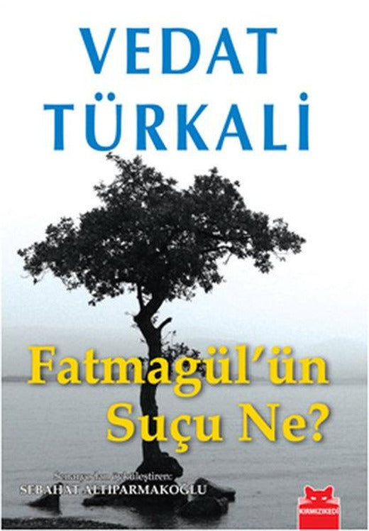 Fatmagül'ün Suçu Ne? | Kırmızı Kedi (İnce Kapak)