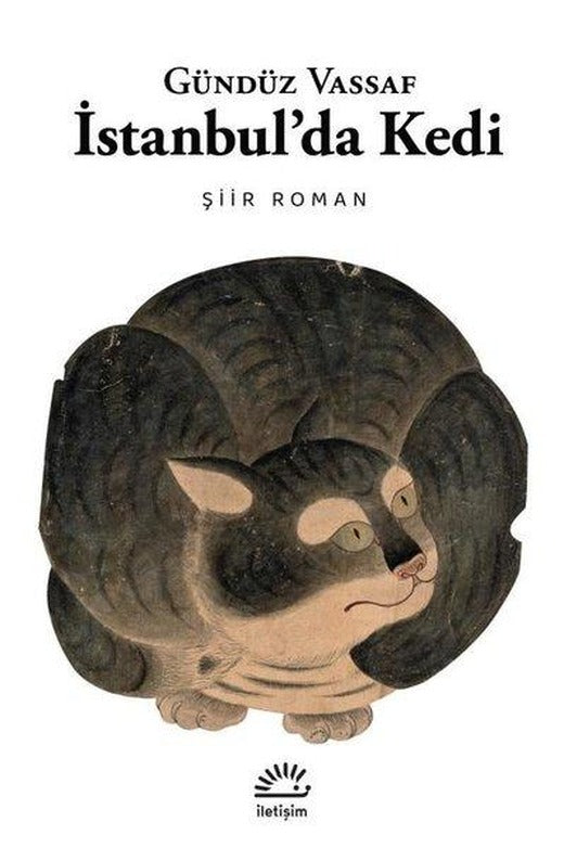İstanbul'da Kedi - Şiir Roman | İletişim Yayınları (İnce Kapak)