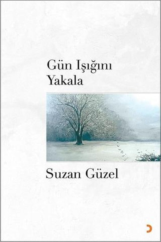 Gün Işığını Yakala | Cinius Yayınları (Ciltsiz)