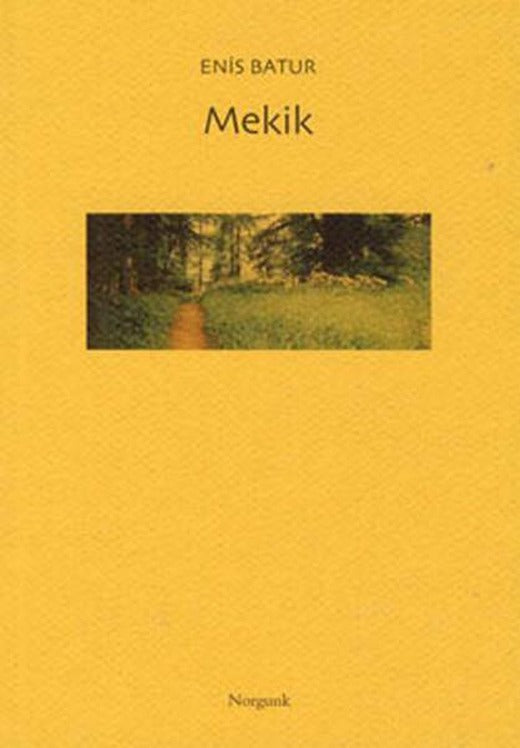 Mekik | Norgunk Yayıncılık (İnce Kapak)