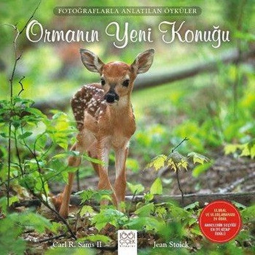 Ormanın Yeni Konuğu | 1001 Çiçek