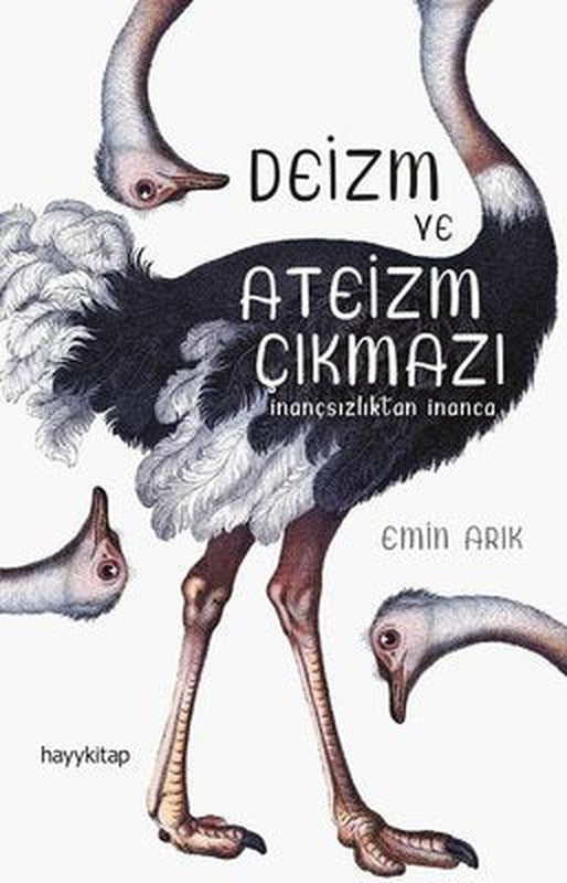 Deizm ve Ateizm Çıkmazı-İnançsızlıktan İnanca | Hayy Kitap