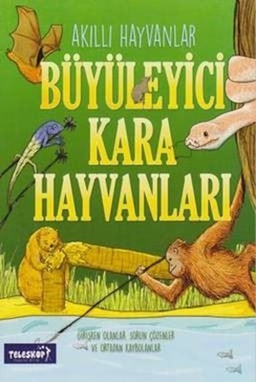 Akıllı Hayvanlar-Büyüleyici Kara Hayvanları | Teleskop Popüler Bilim