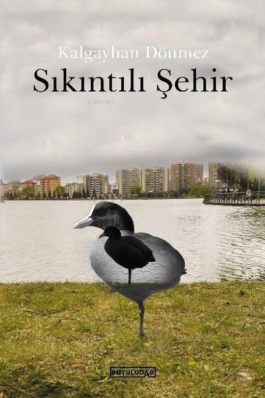 Sıkıntılı Şehir | Büyülüdağ (İnce Kapak)