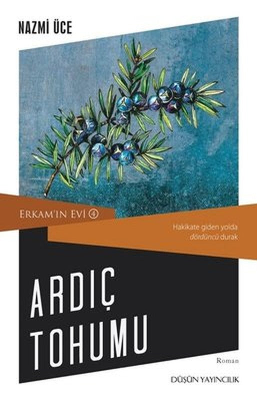 Ardıç Tohumu - Erkam'ın Evi 4 | Düşün Yayınları