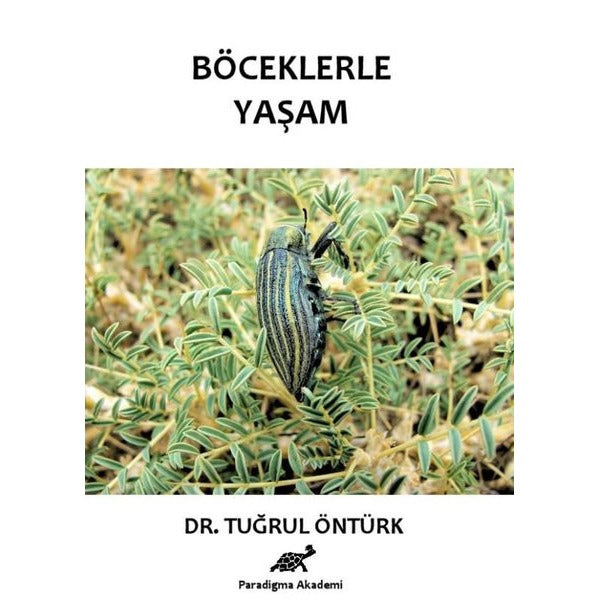 Böceklerle Yaşam