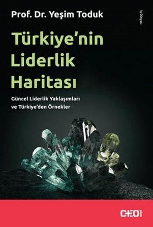 Türkiye’nin Liderlik Haritası | CEO Plus (Ciltsiz)