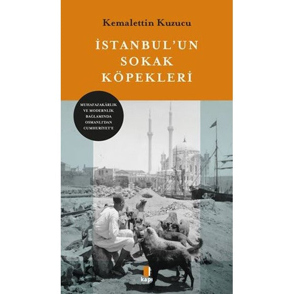 İstanbul'un Sokak Köpekleri | Kapı Yayınları (İnce Kapak)