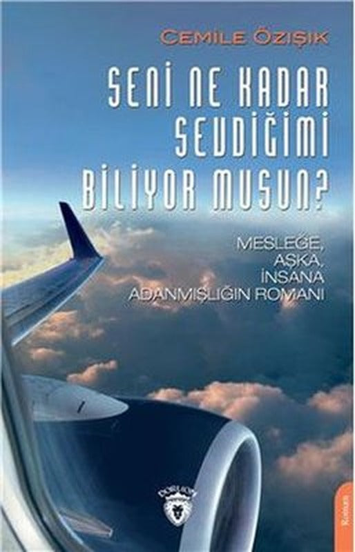 Seni Ne Kadar Sevdiğimi Biliyor musun? | Dorlion Yayınevi