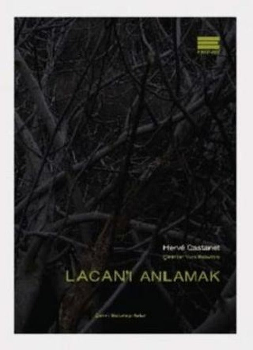 Lacan'ı Anlamak