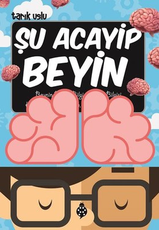 Şu Acayip Beyin | Uğurböceği