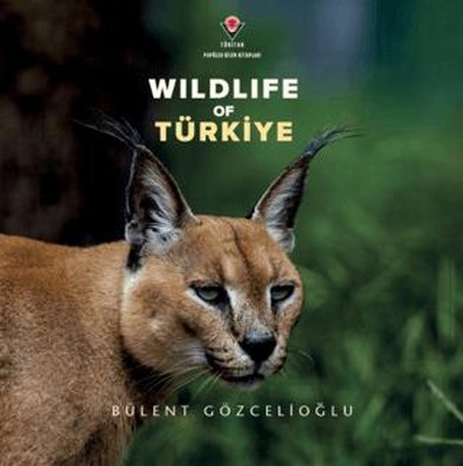 Wildife Of Türkiye | TÜBİTAK Yayınları (Ciltsiz)