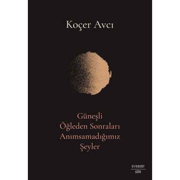 Güneşli Öğleden Sonraları Anımsamadığımız Şeyler | Everest Yayınları