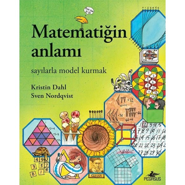 Matematiğin Anlamı-Sayılarla Model Kurmak | Pegasus (İnce Kapak)