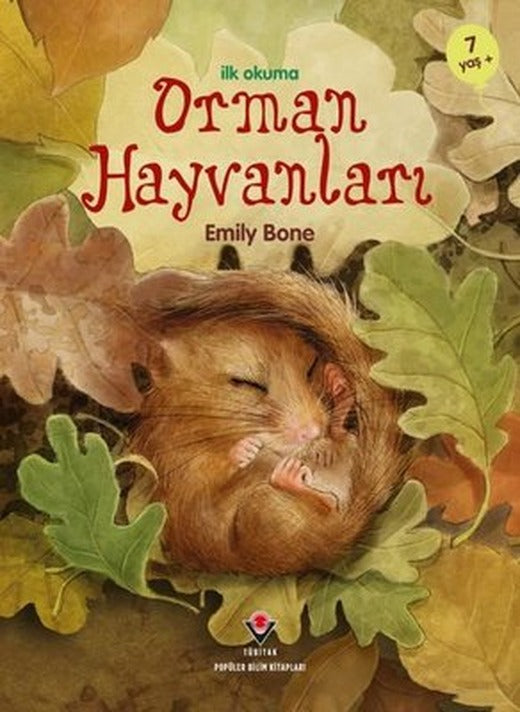 Orman Hayvanları - İlk Okuma | Tübitak Yayınları