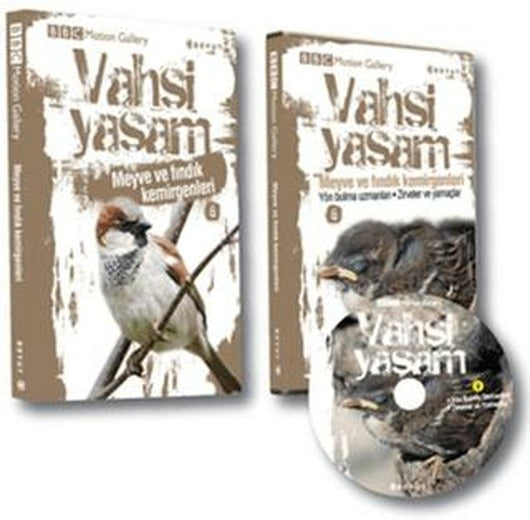 Vahşi Yaşam 2 - Meyve ve Fındık Kemirgenleri | Boyut Yayın Grubu (Ciltli)