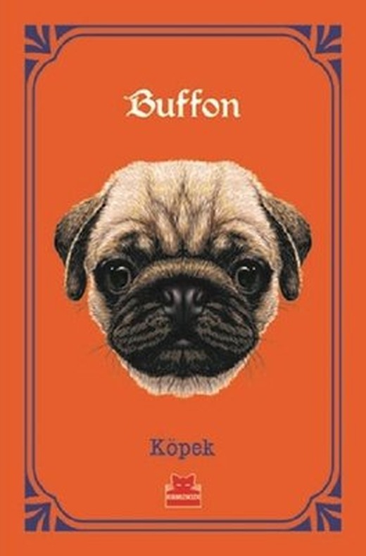 Köpek | Kırmızı Kedi