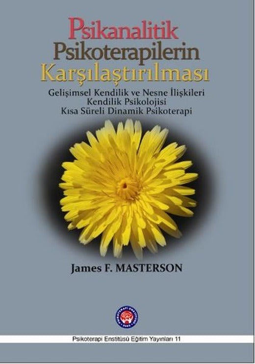 Psikanalitik Psikoterapilerin Karşılaştırılması | Psikoterapi Enstitüsü (İnce Kapak)