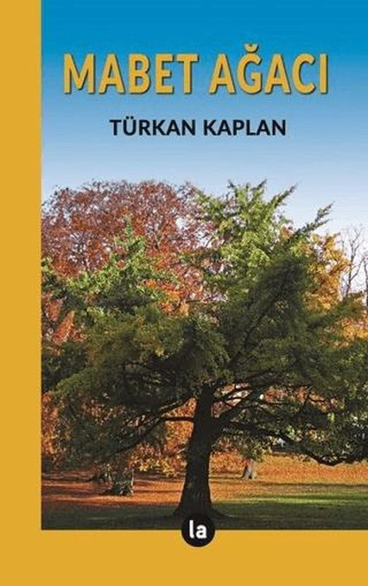 Mabet Ağacı