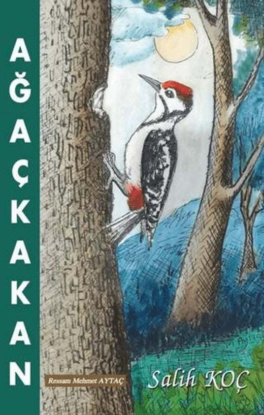 Ağaçkakan