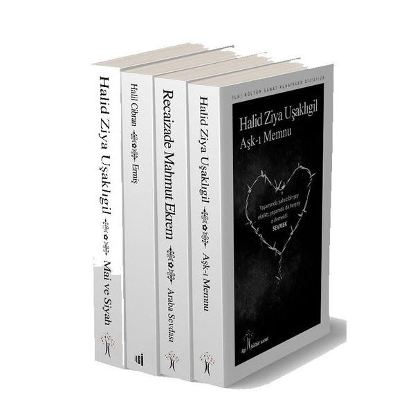 Türk Klasikleri Set 2 - 4 Kitap Takım | İlgi Kültür Yayınları