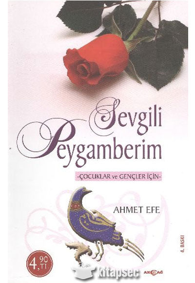 Türk Derneği - Cüneyd Okay kitap kapağı
