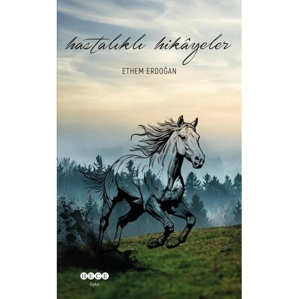 Hastalıklı Hikayeler | Hece Yayınları