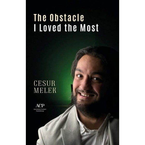 The Obstacle I Loved The Most