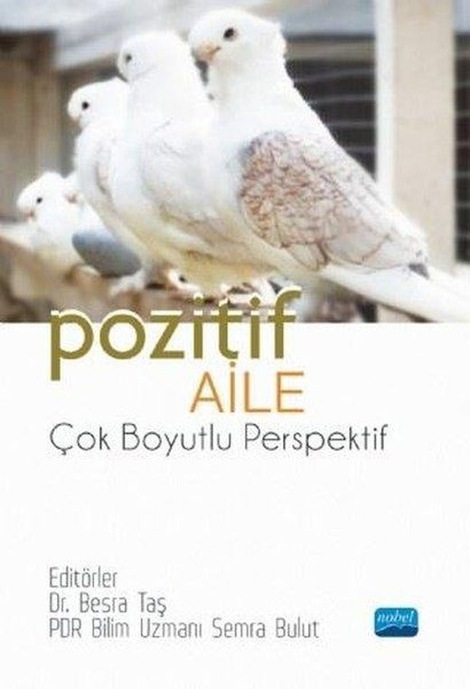 Pozitif Aile - Çok Boyutlu Perspektif | Nobel Akademik Yayıncılık (İnce Kapak)