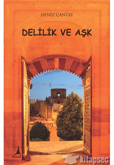 Delilik ve Aşk - Deniz Çantay kitap kapağı
