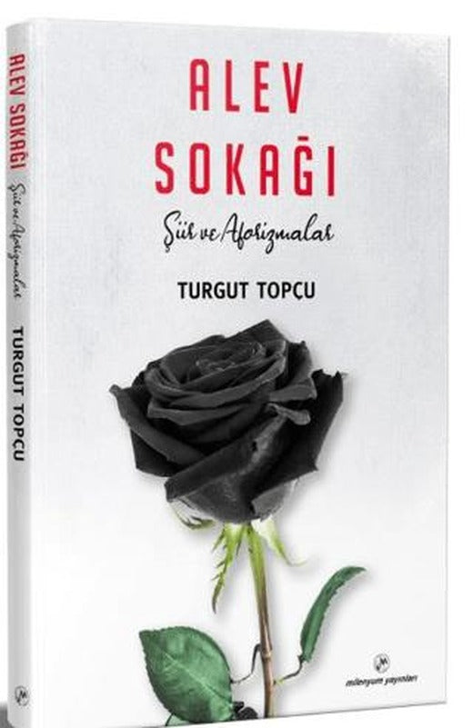 Alev	Sokağı