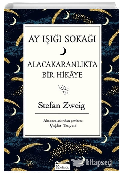 Ay Işığı Sokağı - Stefan Zweig kitap kapağı