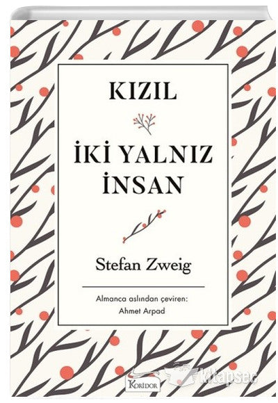 Kızıl İki Yalnız İnsan - Stefan Zweig kitap kapağı