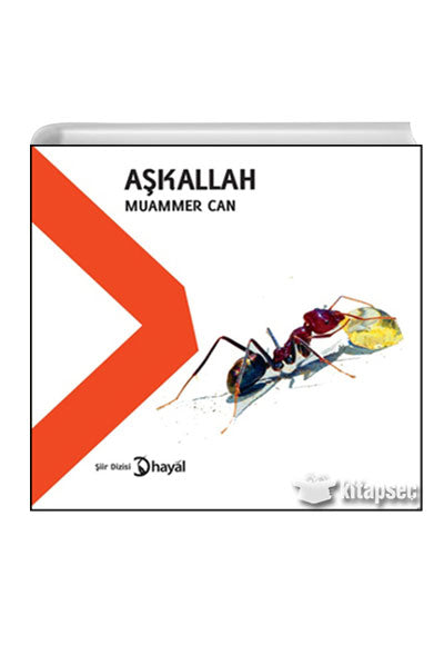 AşkAllah - Muammer Can kitap kapağı
