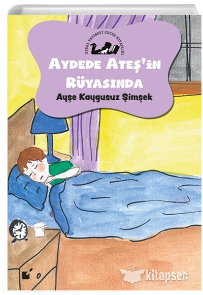 Aydede Ateşin Rüyasında - Ayşe Kaygusuz Şimşek kitap kapağı