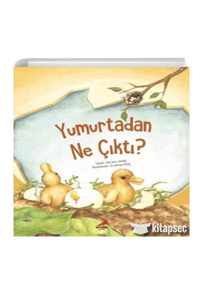Yumurtadan Ne Çıktı Jea eun Jeong Erdem Çocuk - Jea-eun Jeong kitap kapağı