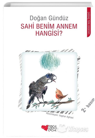 Sahi Benim Annem Hangisi - Doğan Gündüz kitap kapağı