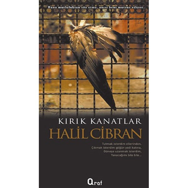 Kırık Kanatlar