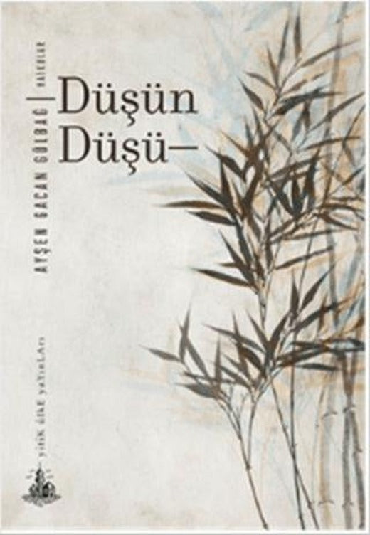 Düşün Düşü