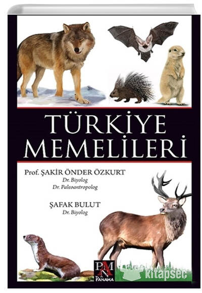 Panama Yayıncılık Türkiye Memelileri - Şafak Bulut kitap kapağı